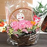 母の日 お花バスケット造花 母の日パッケージでプレゼントに最適 花 ギフト プレゼント 誕生日プレゼント 発表会 贈り物 母の日 早割/母の日 プレゼント/母の日ギフト/母の日ギフト/母の日 花/母の