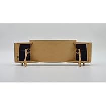 Amazon.co.jp: パラゴンを1/8で再現「iGON 12x」PR MDF : 家電