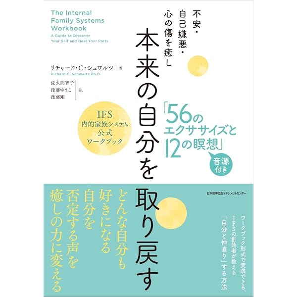 脳をみる心、心をみる脳:マインドサイトによる新しいサイコセラピー