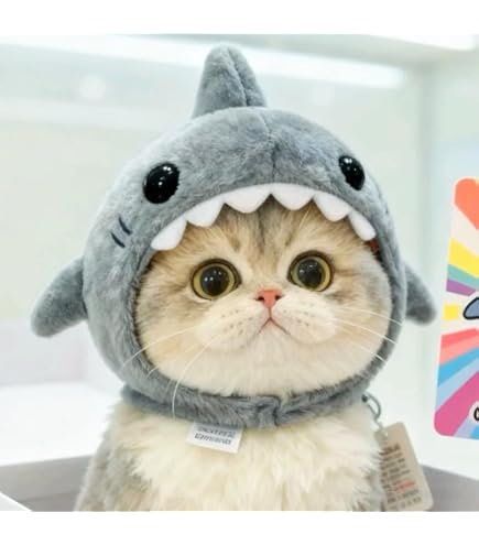 Amazon.co.jp: カネコアヤノ キャップ 帽子 野音 猫 ねこ刺繍キャップ