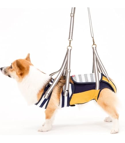 With(ウィズ) 歩行補助ハーネス LaLaWalkコーギー Kabuki Amazon | With(ウィズ) 歩行補助ハーネス LaLaWalk 中型犬