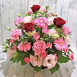 〖 フラワー ギフト ボリューム アレンジメント 〗 生花 季節のお花 おまかせ ピンク 赤 系 ボリューム　 お祝い お誕生日 　