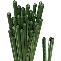 Amazon | 支柱 園芸 180cm 直径16mm 100本1組 イボ付 鋼管製 トマト
