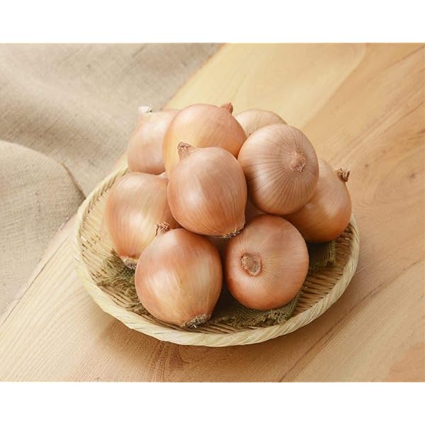 Amazon.co.jp: 真空ムキ玉ねぎ 約5kg箱 20玉入＜4玉×5袋＞｜業務