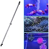 Amazon Etelux Led水槽ライト アクアリウムライト 水族館照明 水槽アクセサリー Led水中ランプ 63led付き 観賞魚飼育 水草育成 防水 省エネ 長寿命 省エネ 水陸両用 青 白色 長さ112cm リモコンなし Etelux ライト 照明 通販 Amazon Etelux Led水槽ライト アクアリウムライト 水族館照明 水槽アクセサリー Led水中ランプ 63led付き 観賞魚飼育 水草育成 防水 省エネ 長寿命 省エネ 水陸両用 青 白色 長さ112cm リモコンなし Etelux ライト 照明 通販