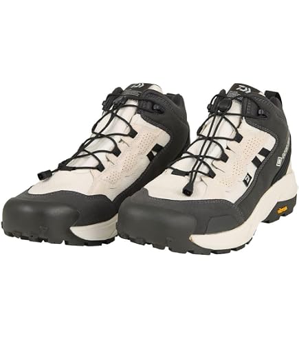 Amazon | ダイワ(DAIWA) フィッシングシューズ ブルー 29.0 DS-2101QS