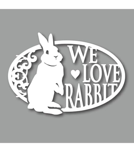 Amazon | RABBIT IN CAR/ラビットインカ―/うさぎ SU-RICW