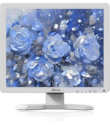 Amazon.co.jp: ProDisplay P17A 17