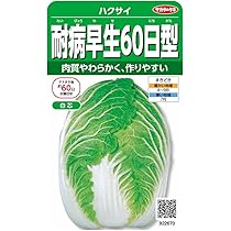 白菜 Amazon.co.jp: サカタのタネ 白菜 タイニーシュシュ 2.2ml
