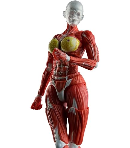 Amazon | Real Masterpiece 1/6 Collectible Figure - [FEARLESS
