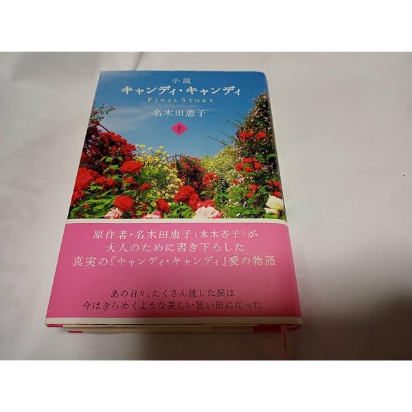 Amazon.co.jp: 小説キャンディ・キャンディ FINAL STORY (上下2巻