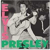 elvis presley オリジナルワンシートポスター (RARE送料込み） ELVIS ON TOUR original 1972 one sheet movie poster ELVIS
