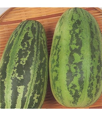 Amazon.co.jp: 中国野菜の種 長夕顔20粒 瓠瓜 夜開花 蒲瓜 瓢瓜 : DIY