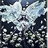 Lotus Pain(初回限定盤)