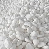 Amazon 高級白玉砂利 白仙 8分 23 29mm kg 砂利