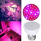 38LED 1.7W LED電球 観賞用植物育成ＬＥＤ スポットライト プラントライト 水耕栽培ランプ 室内用 ブルー/赤 110V-220V水耕栽培 室内栽培観賞用ライト園芸ランプ電球ガーデン温室効