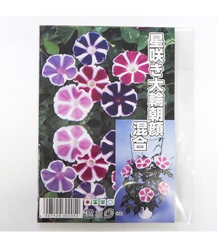 Amazon | サカタのタネ 実咲花6001 朝顔 暁の混合 00906001 | 花