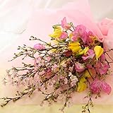 BunBunBee 早春の桜花束「スプリング・スキップ」