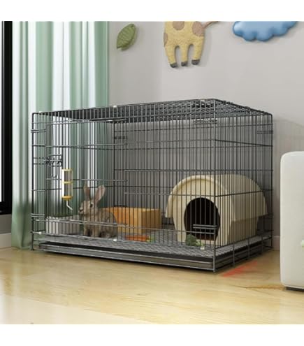 Amazon | 市瀬 ハチコウステンレスケージ SSM-SOP | 市瀬 | 飼育ケージ