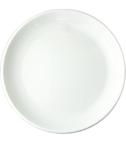 なのはな ホワイト 長方形皿 陶器製 １０枚 なのはなホワイト長方形陶器皿10枚 ホワイト陶器 長方形皿