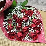 深紅バラとかすみ草の花束 20本 フラワーギフト 誕生日 結婚記念日 還暦祝い プレゼント 贈り物 敬老の日 クリスマス