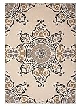 Jaipur Living Mobile Indoor/ Outdoor Medallion Neutral Area Rug (4' X 5'3) [並行輸入品]