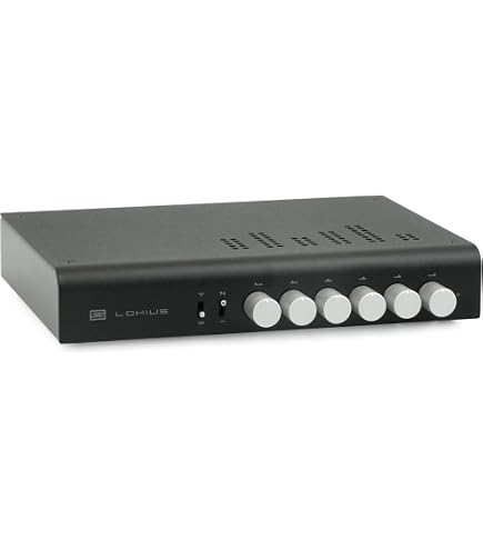 未使用 Schiit Lokius トーンコントロール Schiit Lokius Audio Science (ASR Quality