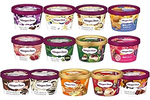 １０個バラエティセット ハーゲンダッツアイスクリーム ランダム アソート お中元 お歳暮 お年賀 お祝い ギフトセット 季節限定 高級アイス 詰め合わせ