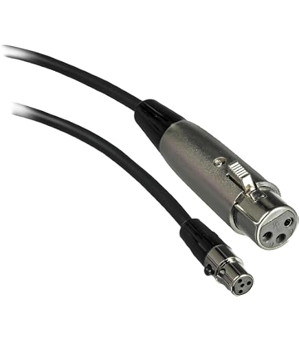 Amazon | 【国内正規品】SHURE コンデンサー マイクロフォン BETA98H/C