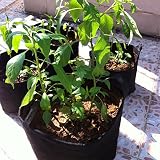 プランター フェルト 植物成長鉢 植物栽培 バッグ 通気性 園芸用 ガーデン 庭 花 植物 苗バッグ ルートバッグ 植え袋 不織布ポット Nobita NLH (5個の 25ガロン) (5個の 25ガ