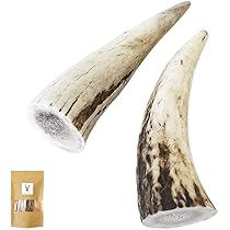 [ROMEO]鹿の角 楽天市場】国産 鹿の角 オブジェ Mサイズ 1本 インテリア 関東