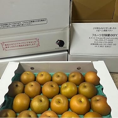 専用／新興梨6キロ近く×3箱 梨 箱」の人気商品一覧 | 安い商品を通販サイトから探す - 価格.com