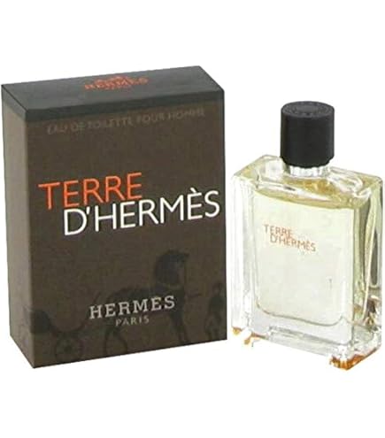 Hermes Terre D'Hermes Eau de Toilette Spray for Men 100 ml