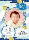 我が家の新米 抱っこできる赤ちゃんプリント 29年産魚沼産コシヒカリ (桐箱ラッピングセット, 青)