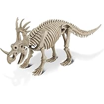 61ncFIJs0IL._AC_UL210_SR210,