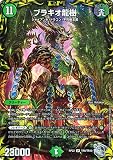 デュエルマスターズ ブラキオ龍樹(20th銀トレジャー) 切札!マスターCRYMAX!! クライマックス （DMRP22） | デュエマ 王来MAX クリーチャー 20th銀トレジャー