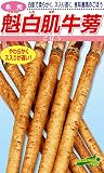松永種苗 永光 魁白肌牛蒡 (ゴボウ) 小袋10ml