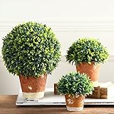 KIMO ミニ盆栽 人工蘭 植物 家 庭 鉢植え 盆栽 ミニ盆栽 緑 ウェディングパーティーの装飾(半球形) S