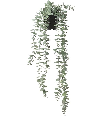 Amazon|IKEA/イケア FEJKA/フェイカ:人工観葉植物170 cm Amazon|IKEA/イケア FEJKA/フェイカ:人工観葉植物170 cm