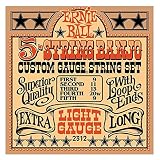 【正規品】 ERNIE BALL 2312 バンジョー弦 5弦 (09-09) 5-STRING STAINLESS STEEL BANJO LIGHT LOOP END