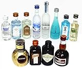 リキュール・スピリッツ ミニチュアセレクション 12本セット