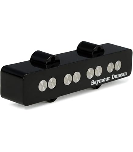 Amazon | Seymour Duncan SJB-3B Série Simple JB Quarter-Pound