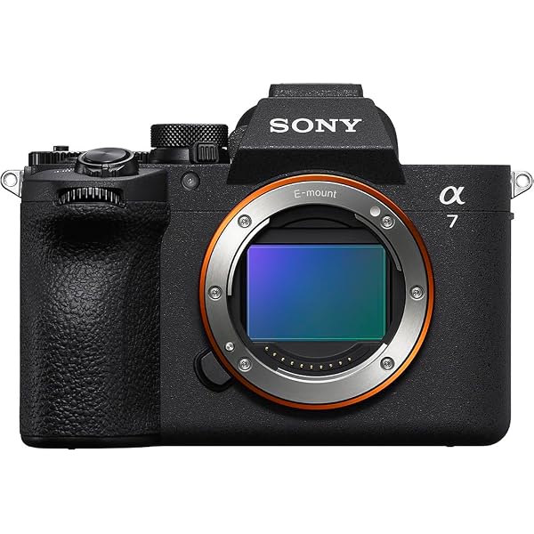 今すぐ使えるかんたんmini SONY α7 III 基本&応用撮影ガイド | 伴 貞良