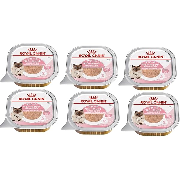 ビタレバン　6本　① 61bmvDUrYsL._AC_UF350,