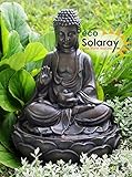 [エコ ソラレー] Eco Solaray ソーラーパワー 仏陀ウォーターフューチャー - WF3666