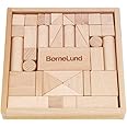 ボーネルンドオリジナル (BorneLund Original) オリジナル積み木 S 【積み木のほん付】 1歳頃 BZID003