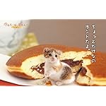 猫 freeサイズ画像 ちょっとだけ 猫 freeサイズ画像 ちょっとだけ