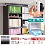 MEMORIA 棚板が1cmピッチで可動する 深型オープン上置き幅120.5