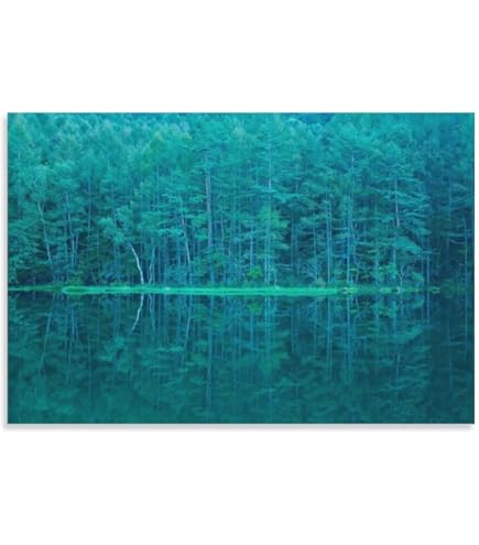 Amazon.co.jp: 世界の名画シリーズ、プリハード複製画 東山魁夷作 「緑