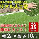 リアルすぎる人工芝　ロールタイプ　幅2m×長さ10m　武田コーポレーション